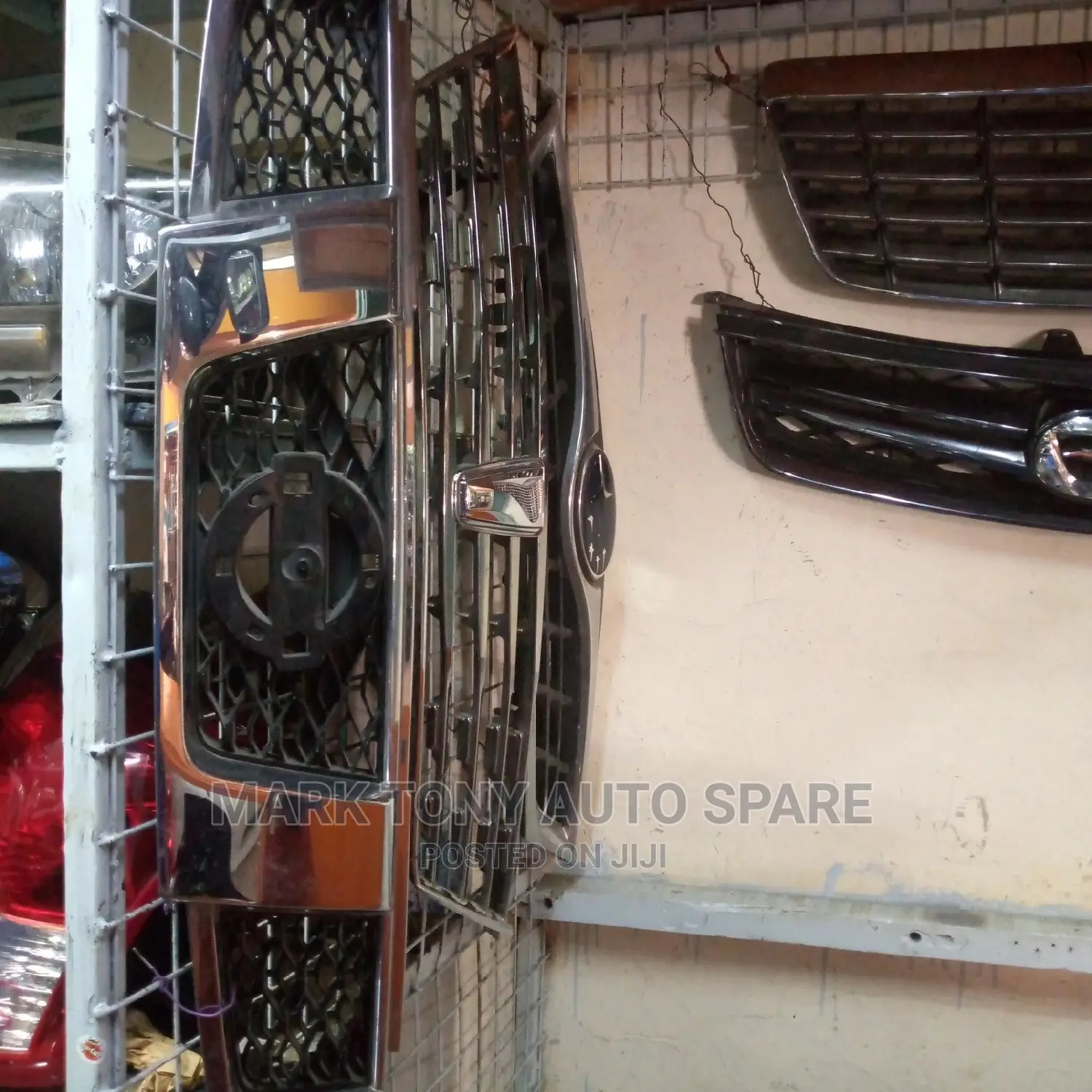 Extrail 2010 Grill