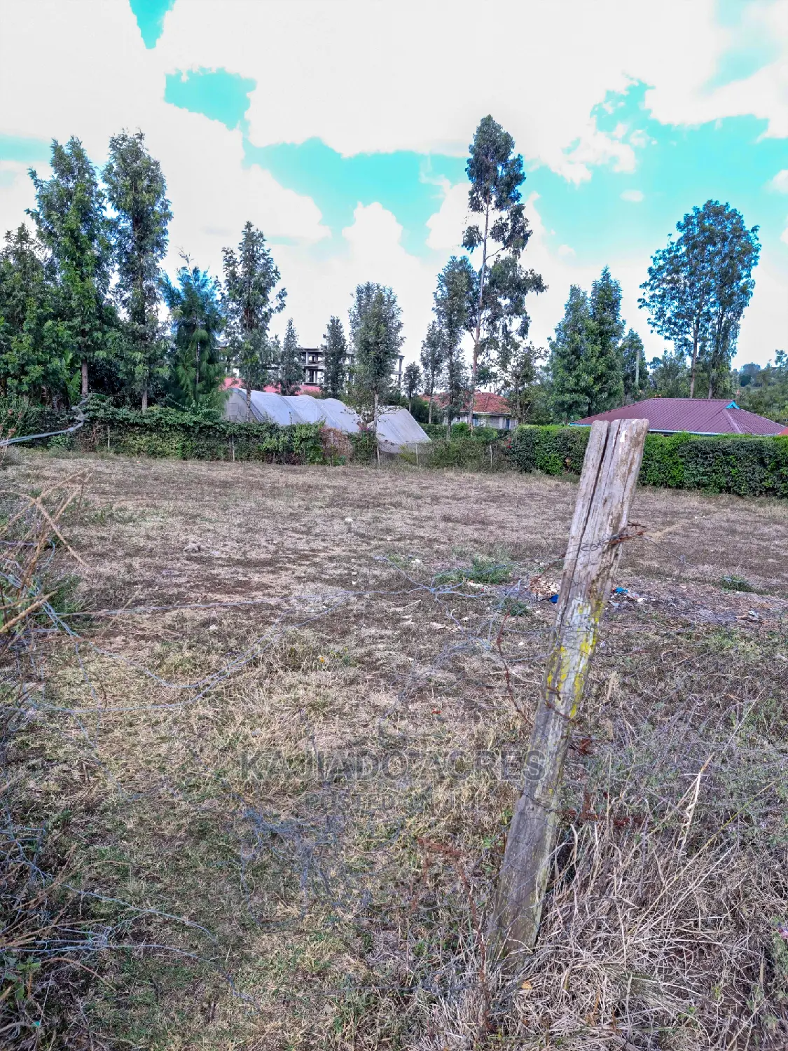 Ololua 1/4 Acre at 7m