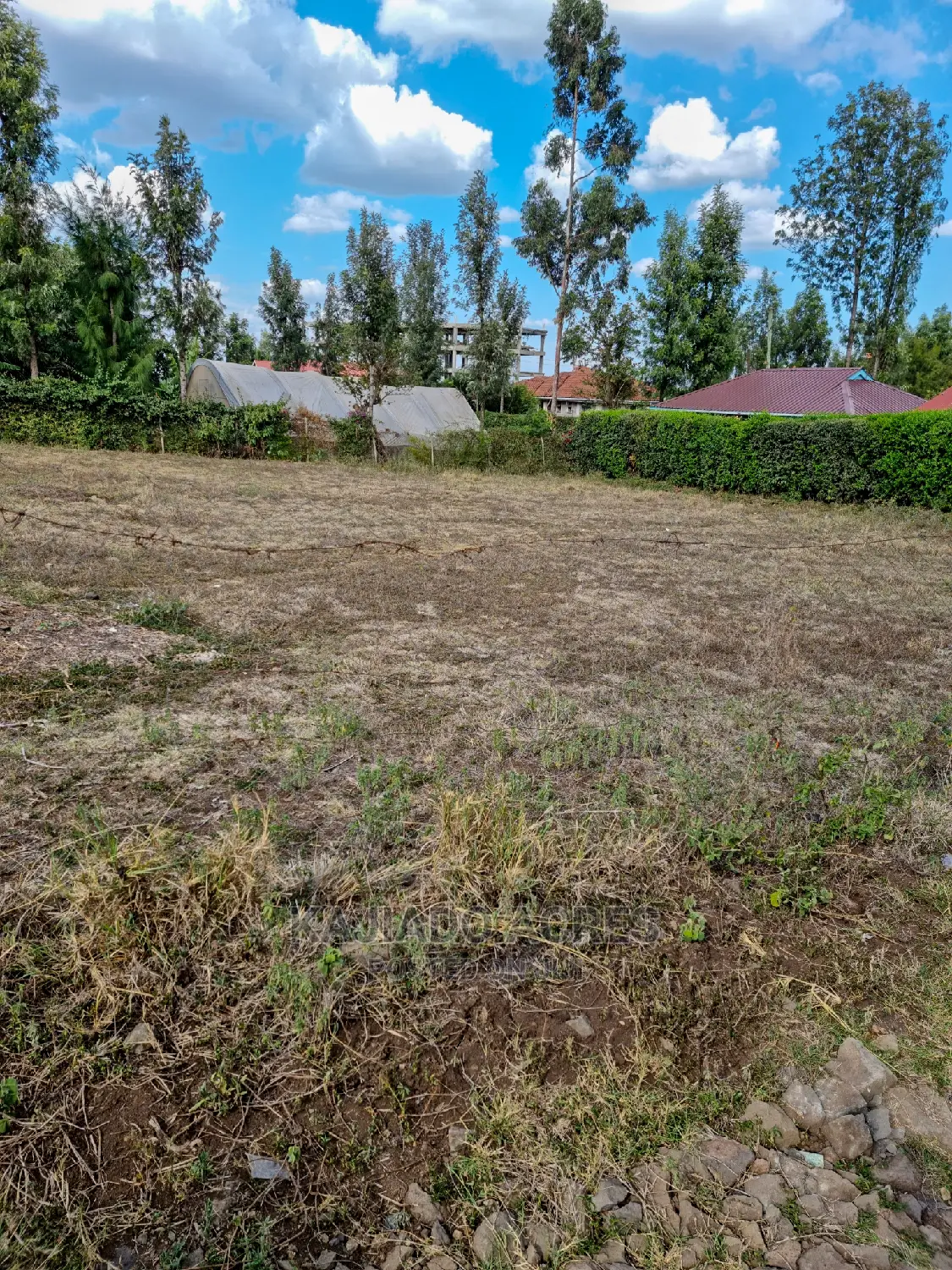 Ololua 1/4 Acre at 7m