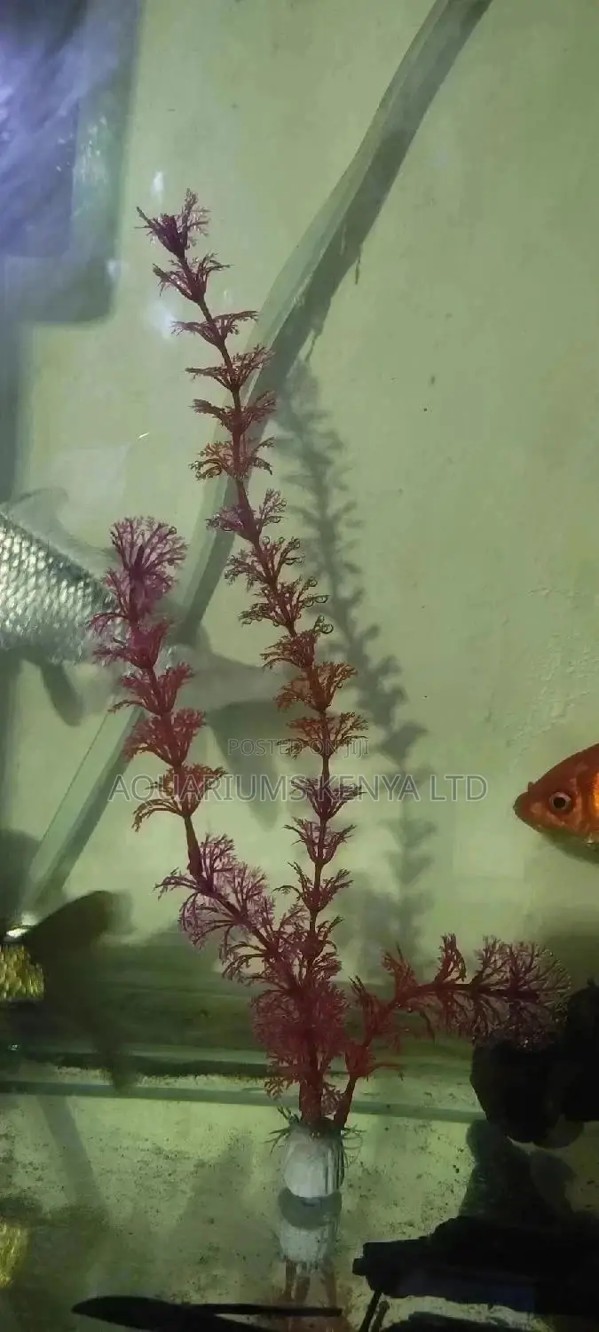 Artificial Plants for Aquariums