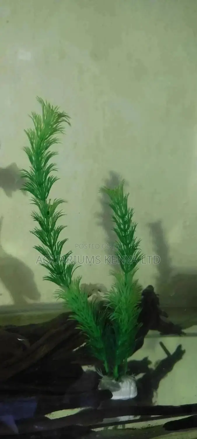 Green Aquarium Plants, Artificial