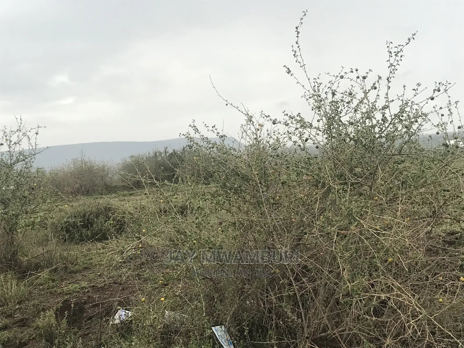 10 Acres’S Top Tank Arthi River