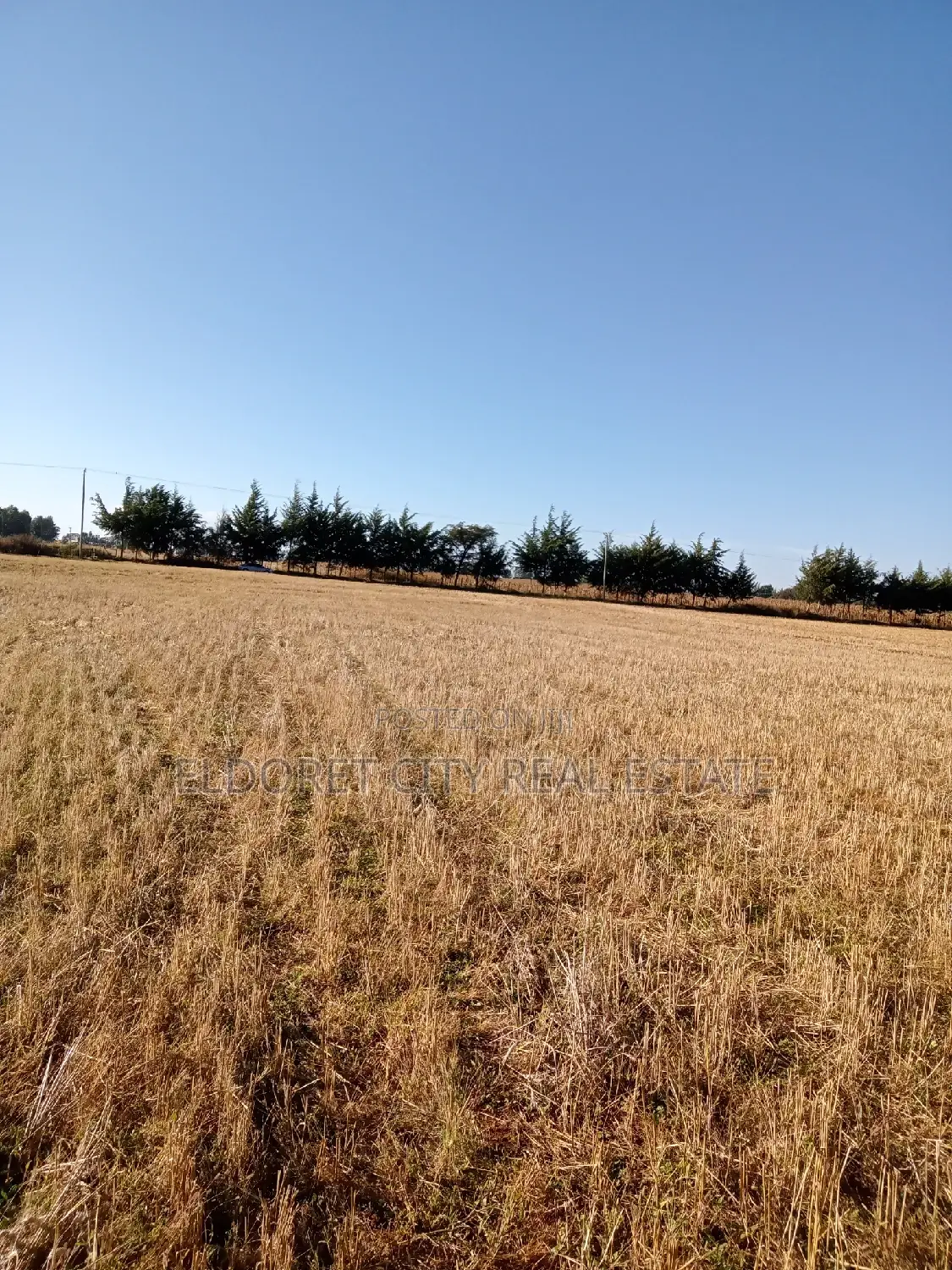 Several 1/4 Plots and 1/8 Plots Marura Chemaluk