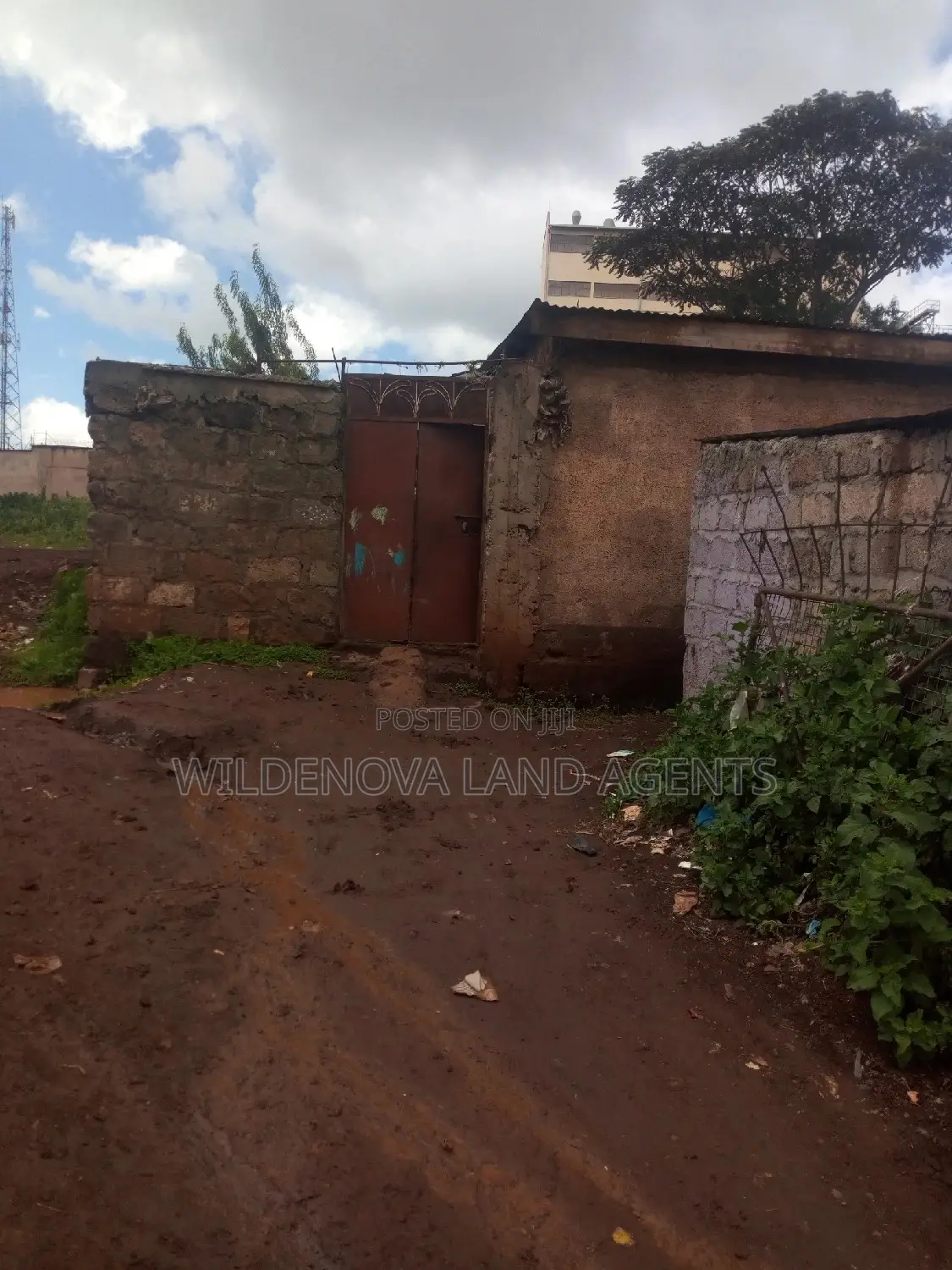 50 *100 Plot on Sale at Limuru Kiambu