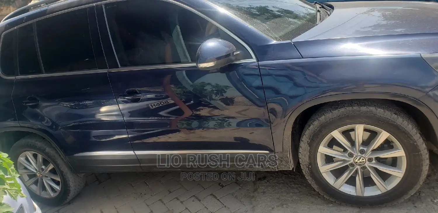 Volkswagen Tiguan 2012 Blue