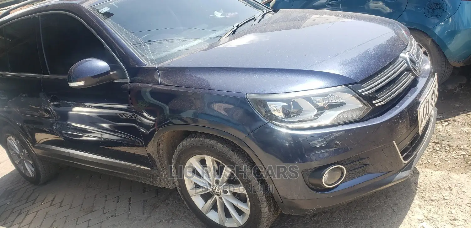 Volkswagen Tiguan 2012 Blue