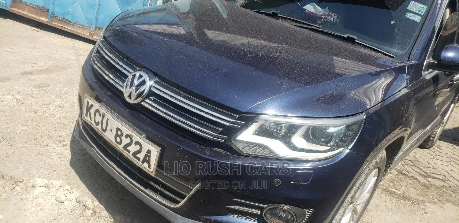 Volkswagen Tiguan 2012 Blue