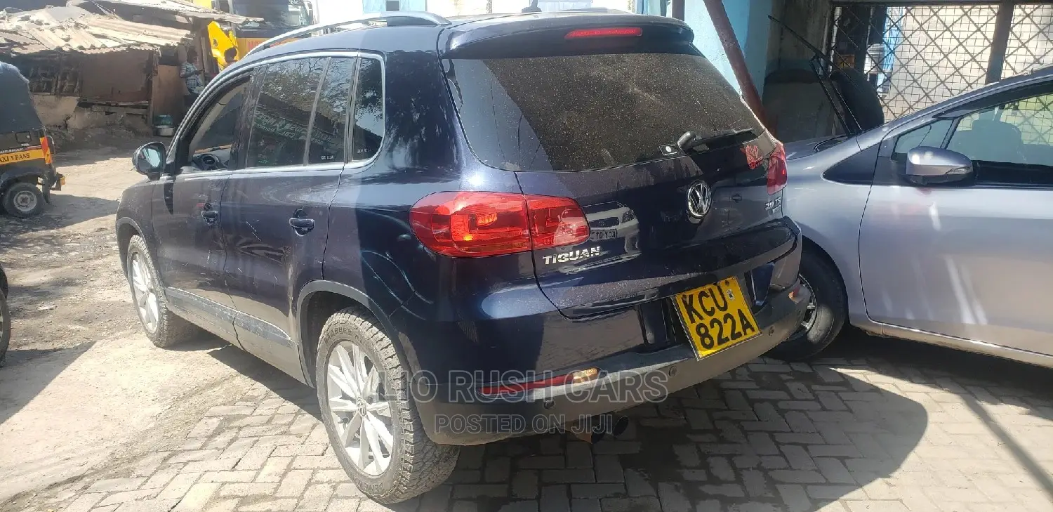 Volkswagen Tiguan 2012 Blue