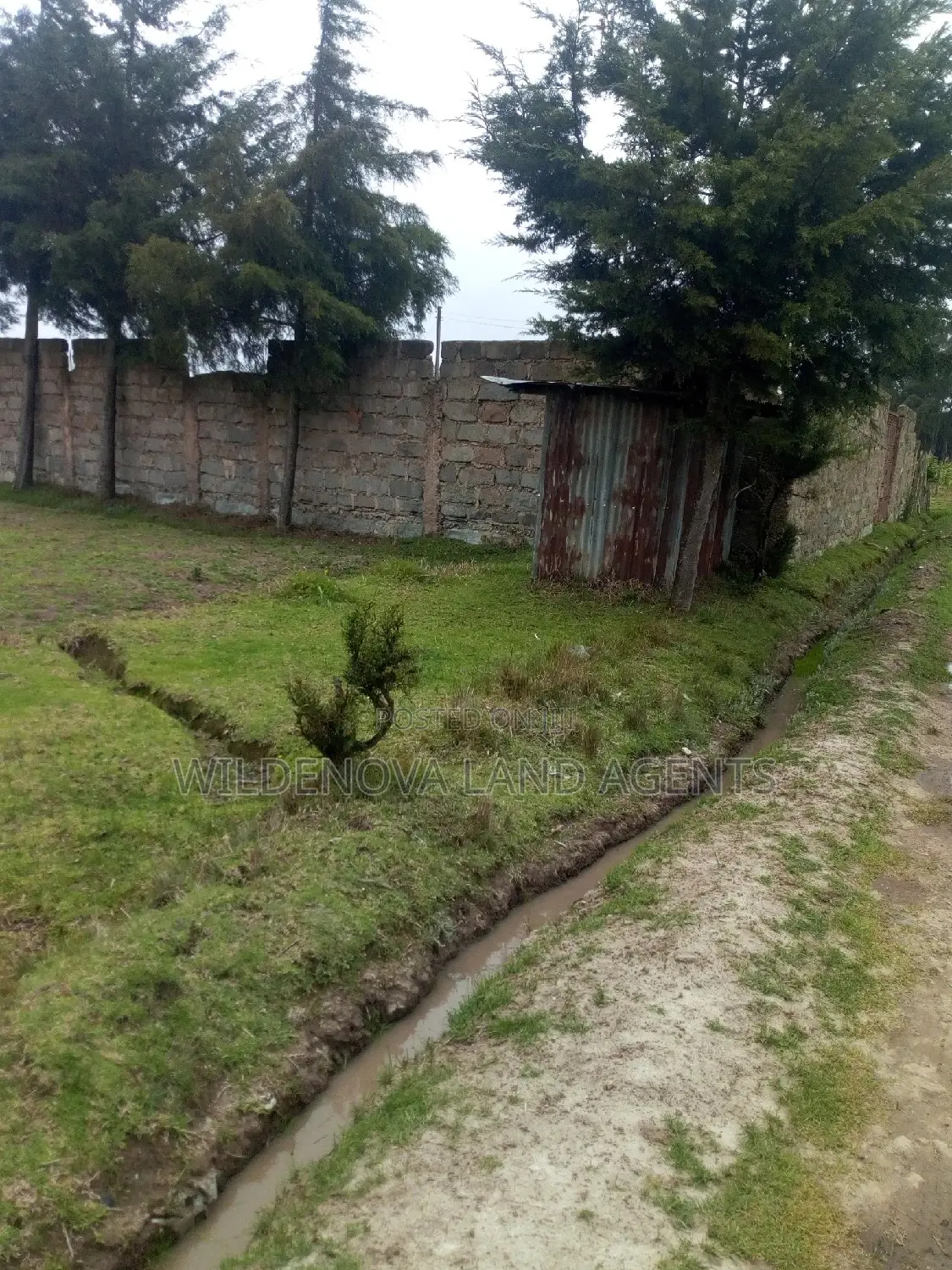 50*100 on Sale at Kinangop Mtonyora