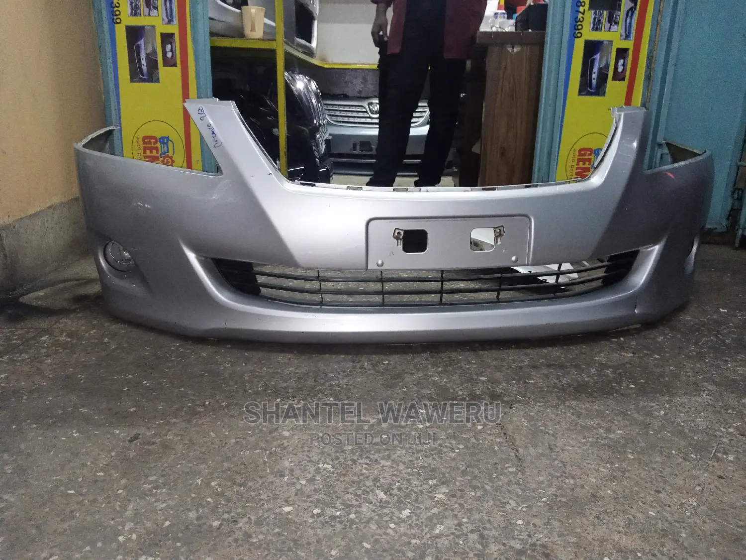 Premio 260 Bumper