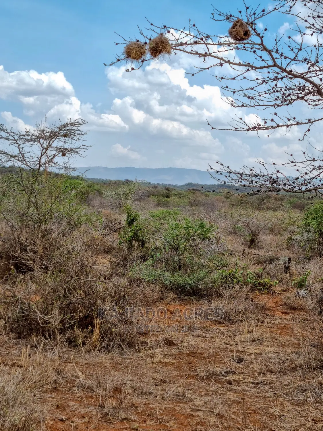 12 Acres Saikeri at 800k Per Acre