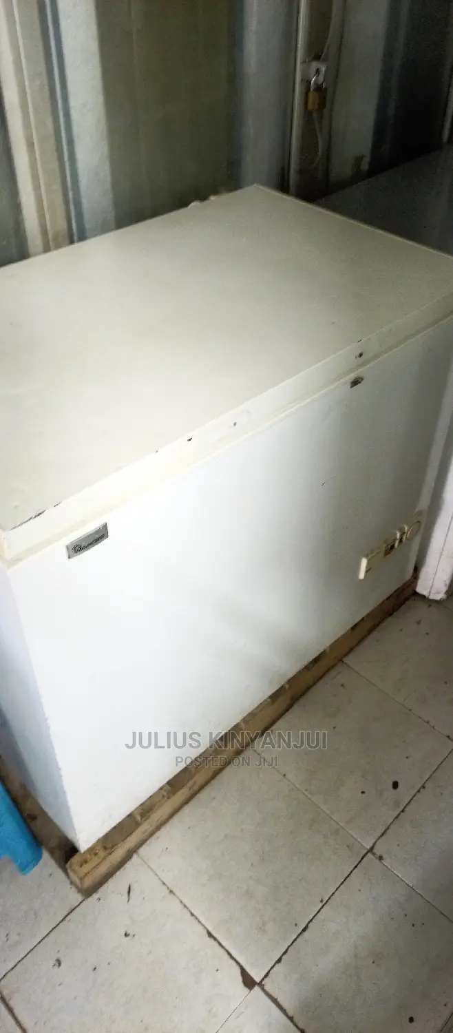 Ramtons 330 Litres Freezer