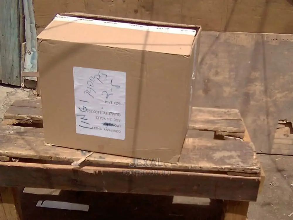 Various Sizes of Carton Boxes
