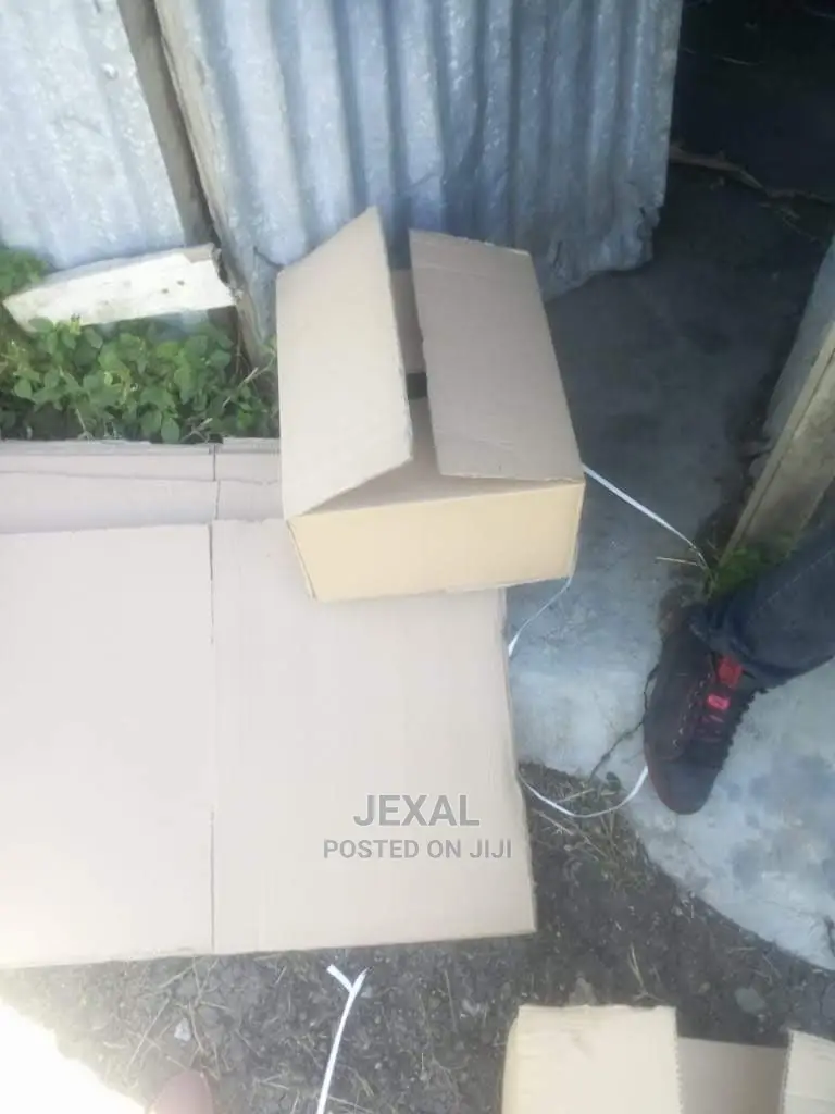 Classic Carton Boxes