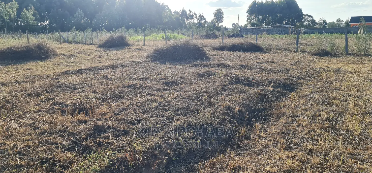 1⁄4 Plot in Gated Community for Sale in Illula Eldoret
