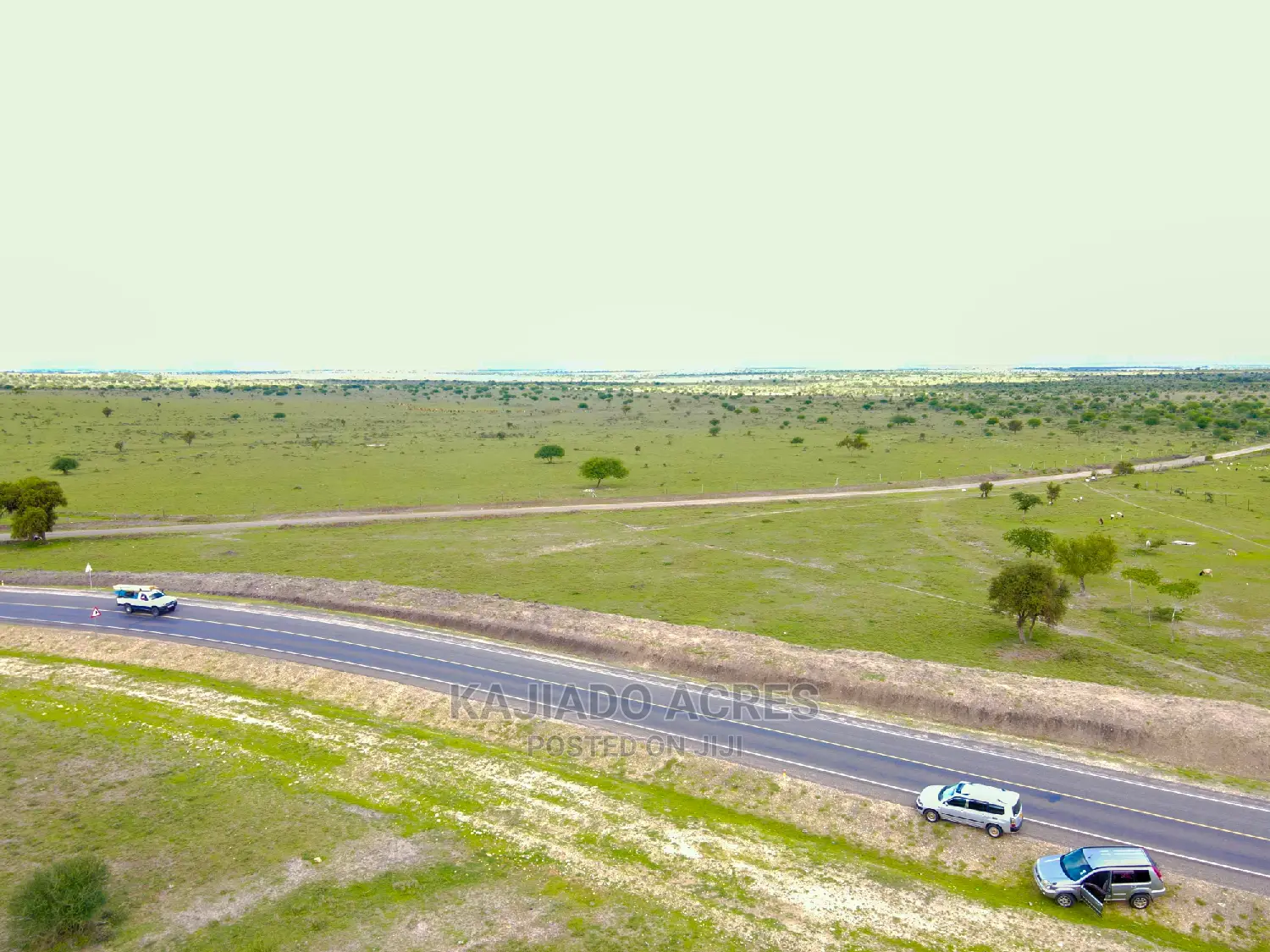 Prime 5 Acres Touching Tarmac in Dalalekutuk at 3m