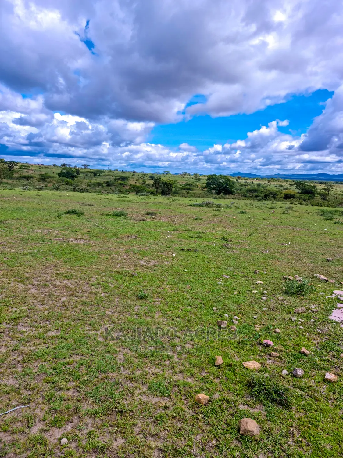 Prime 5 Acres Touching Tarmac in Dalalekutuk at 3m