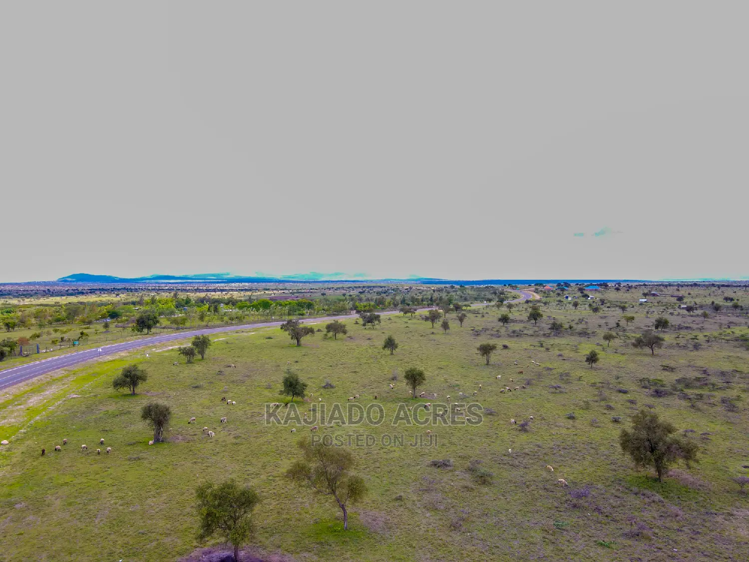 Prime 5 Acres Touching Tarmac in Dalalekutuk at 3m