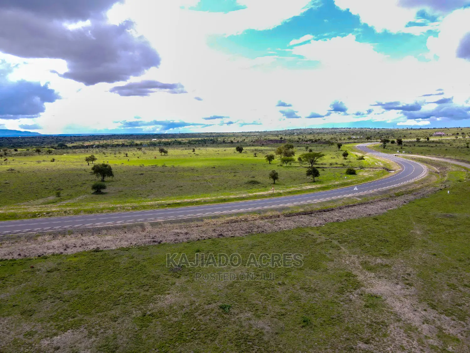 Prime 5 Acres Touching Tarmac in Dalalekutuk at 3m
