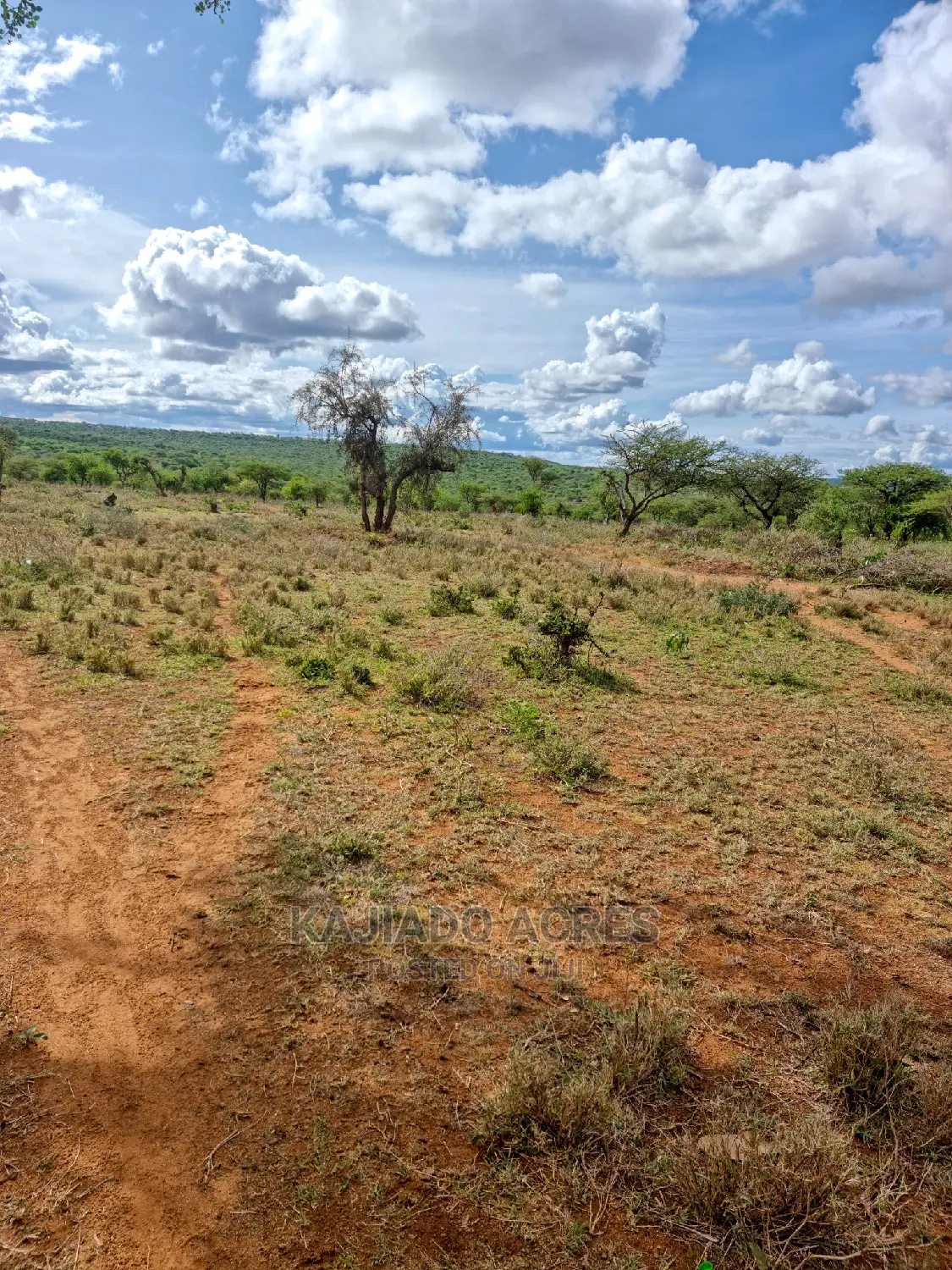 Prime 5 Acres in Kajiado at 3.5m
(200metres From Tarmac