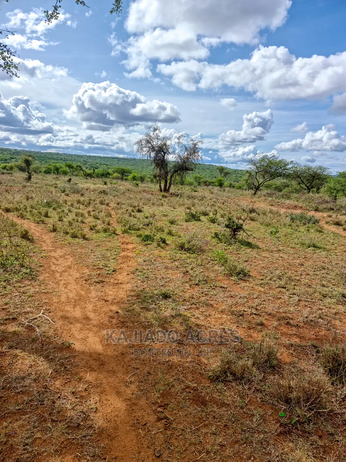 Prime 5 Acres in Kajiado at 3.5m
(200metres From Tarmac