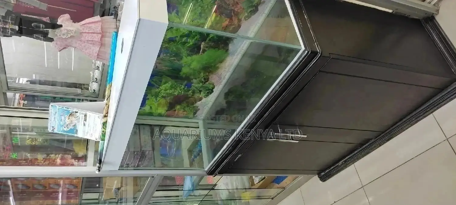 Aquarium With Stand