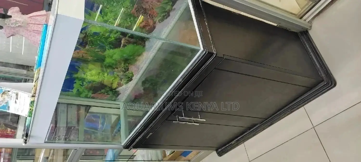 Glass Fish Aquarium