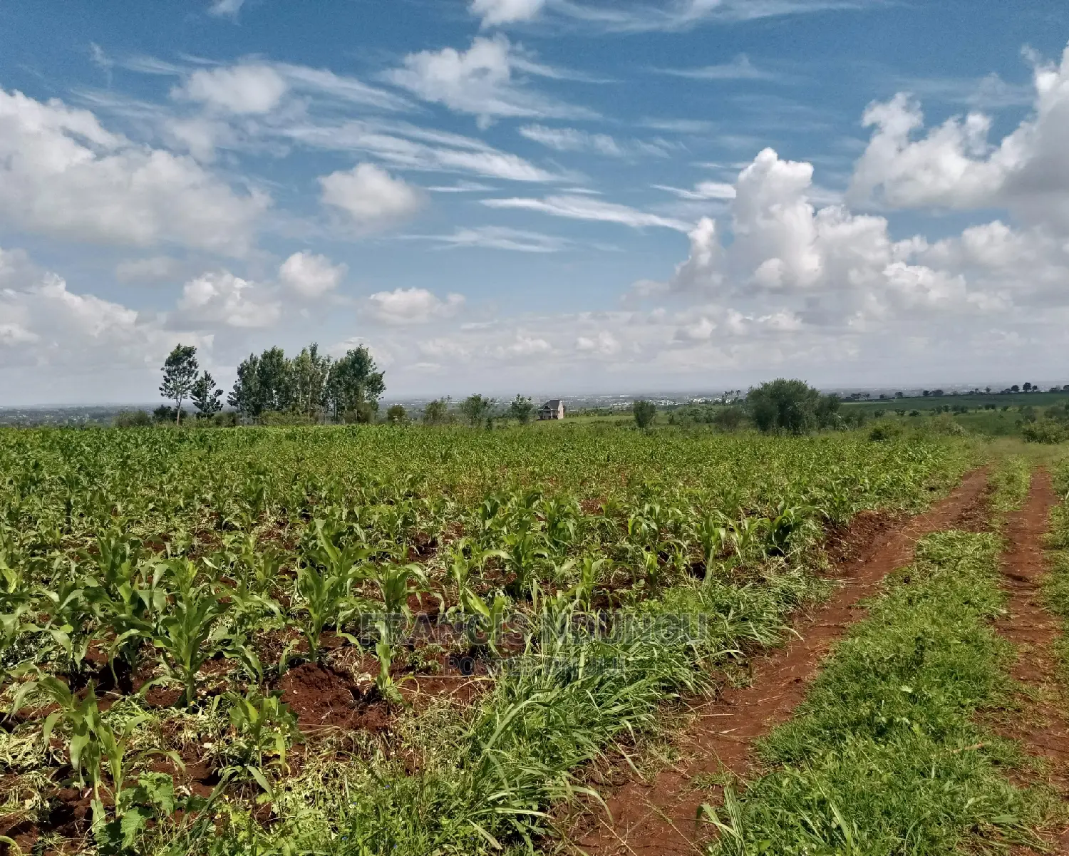 Residential Plot for Sale Matrofi Estate Tinganga