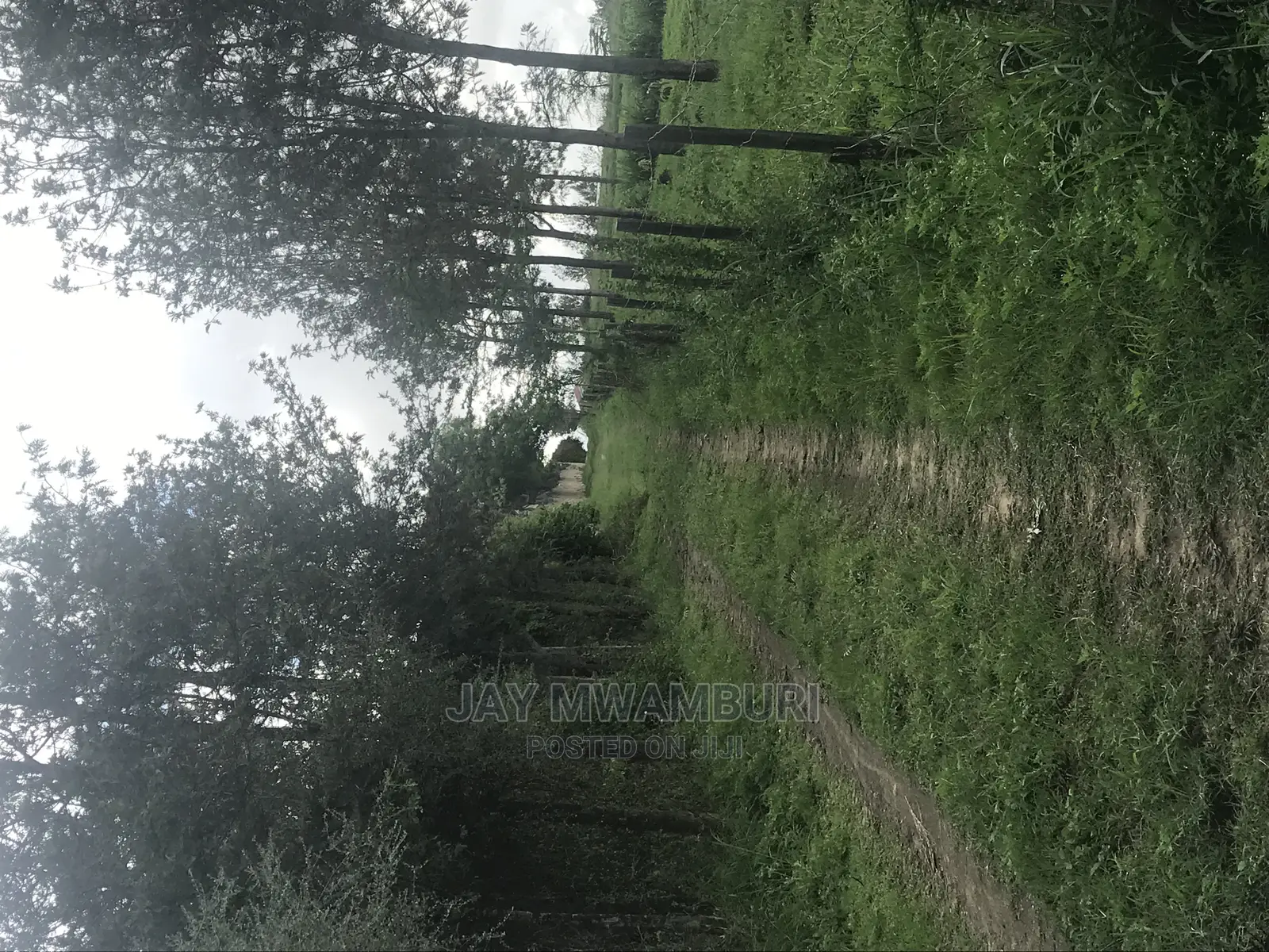 5 Acres Touching Road Kenani Arthi River