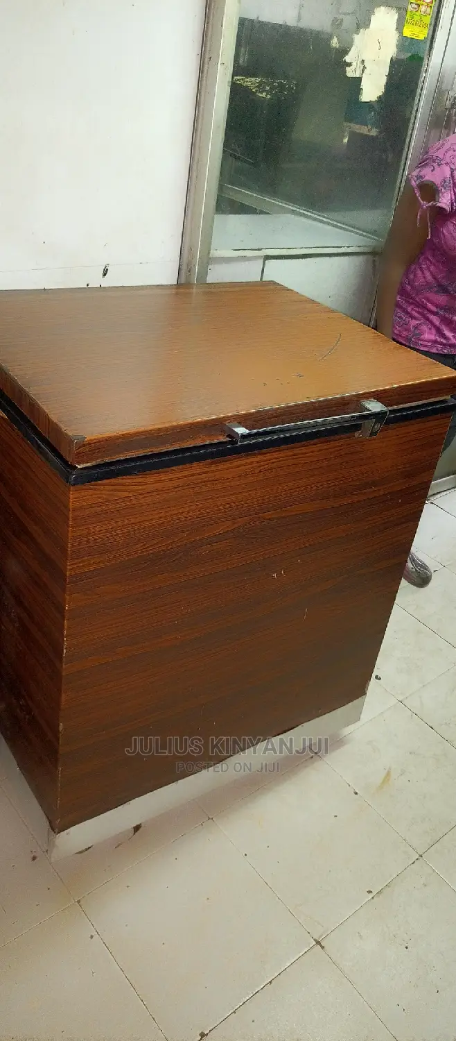 Deep Freezer 250L
