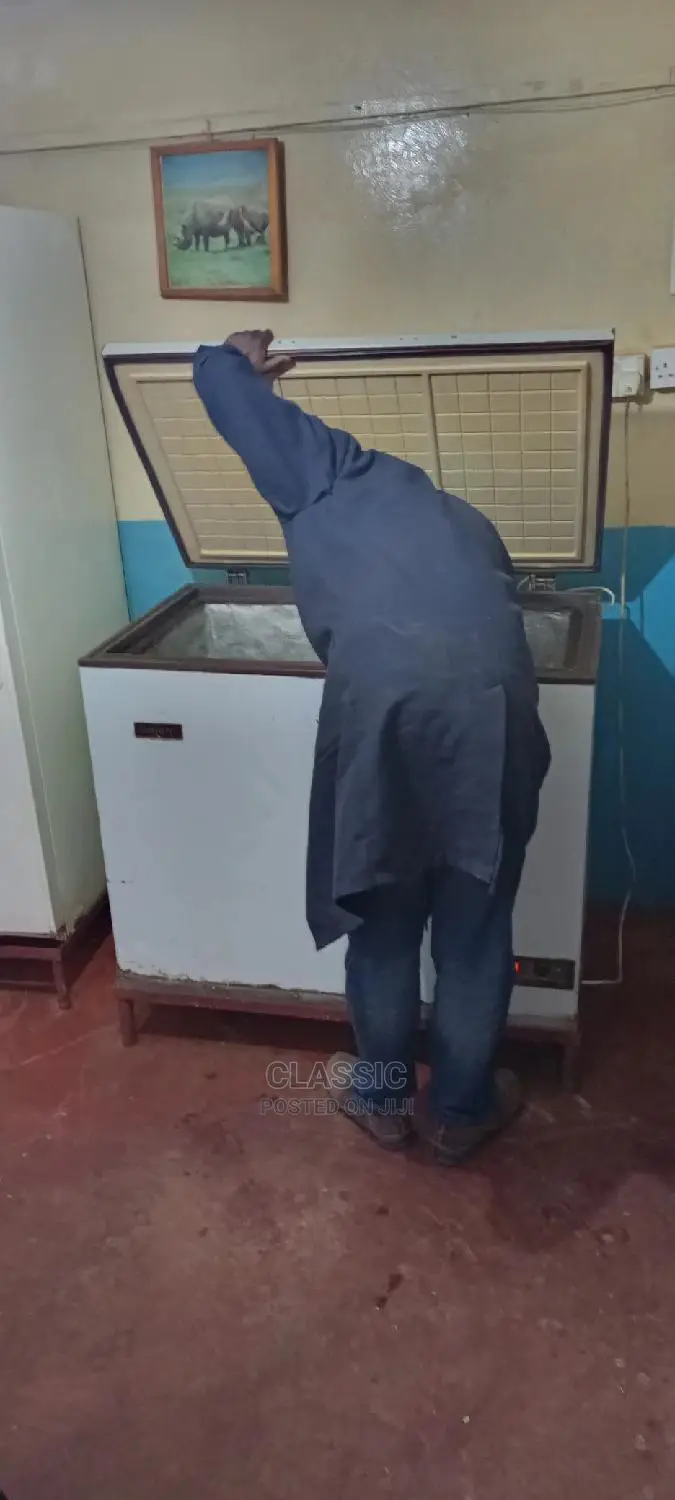 Freezer and Fridge Repairs