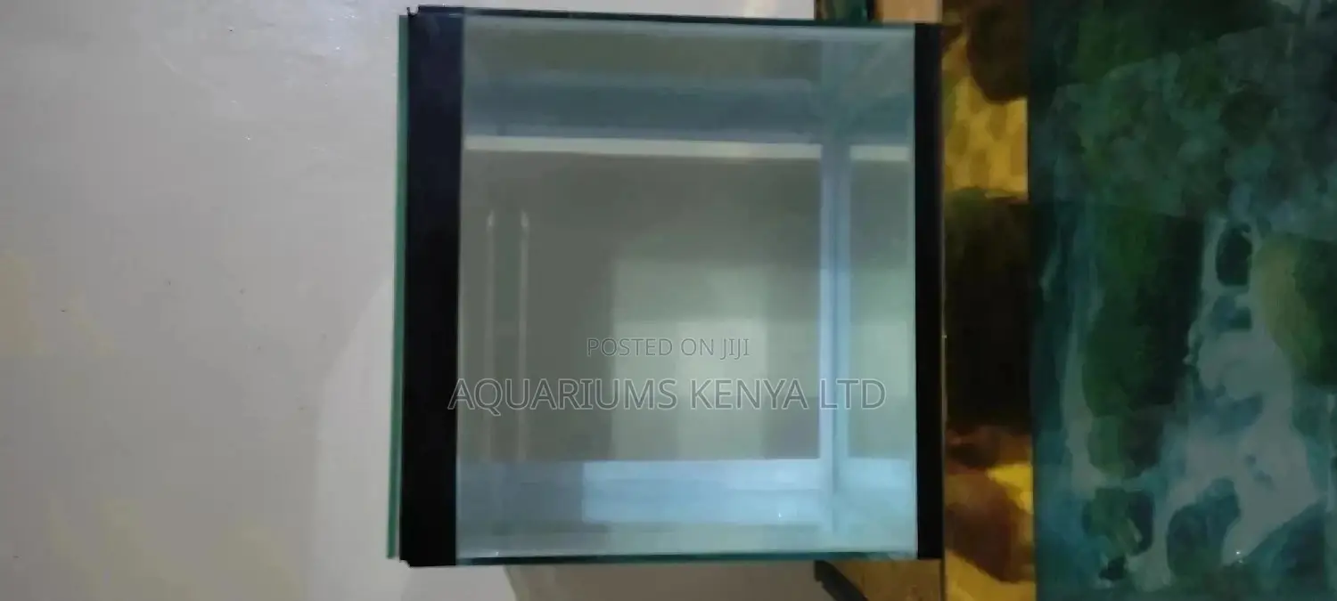 Aquarium Cleaning and Maintenance