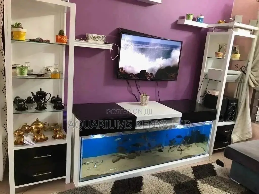 Fish Aquarium TV Wall Unit Set Up