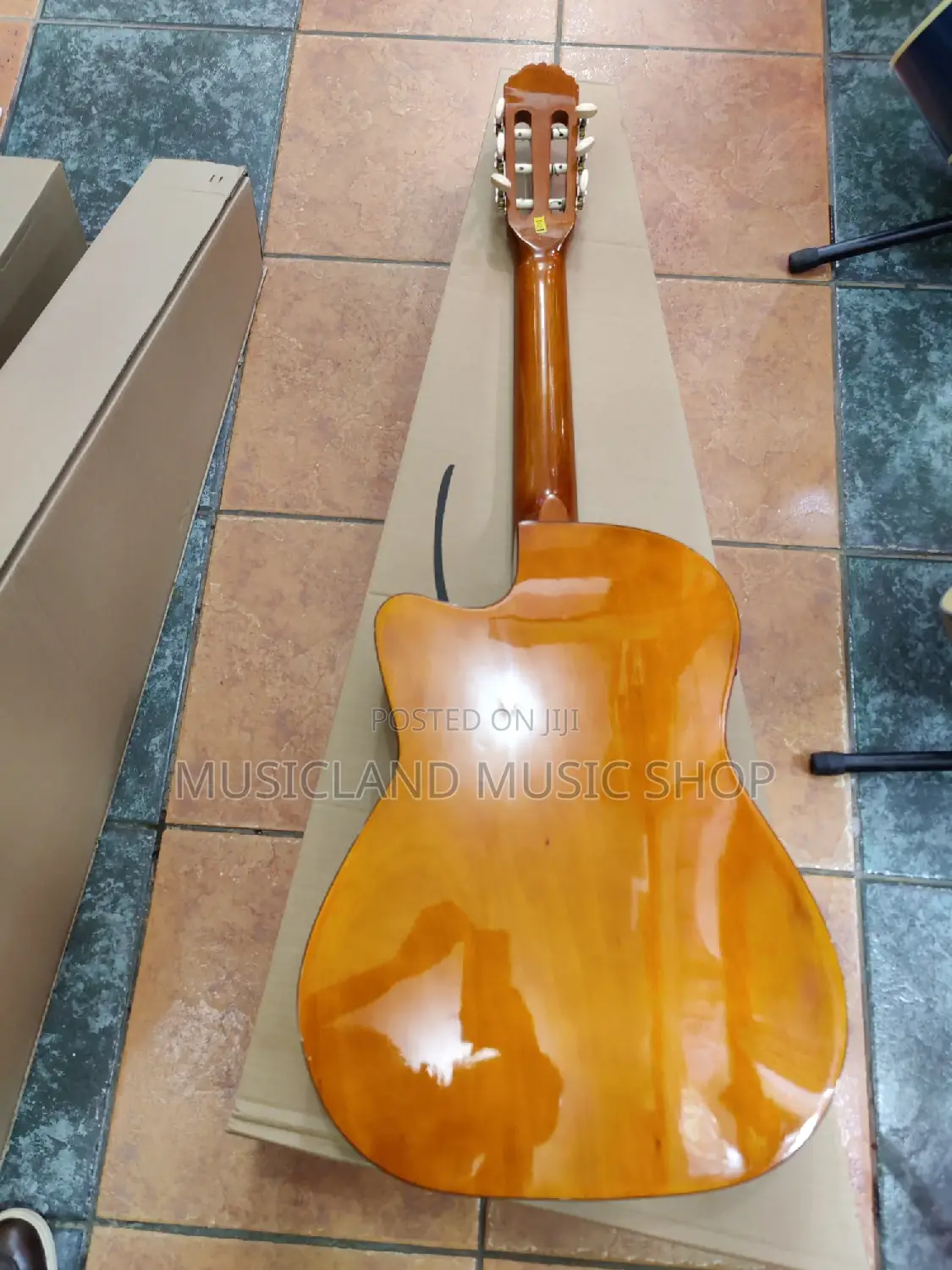 Classic Semi-Acoustic Guitar