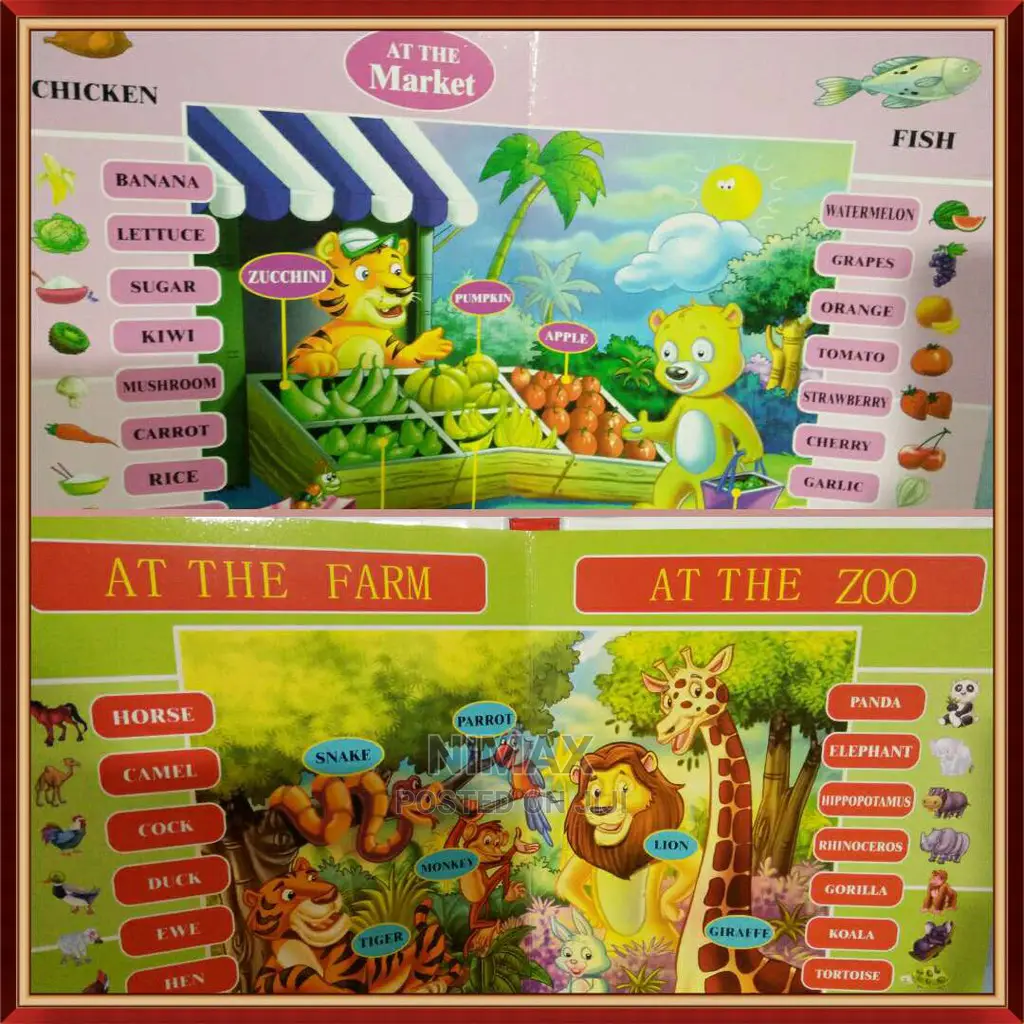 Kids Picture Dictionary
