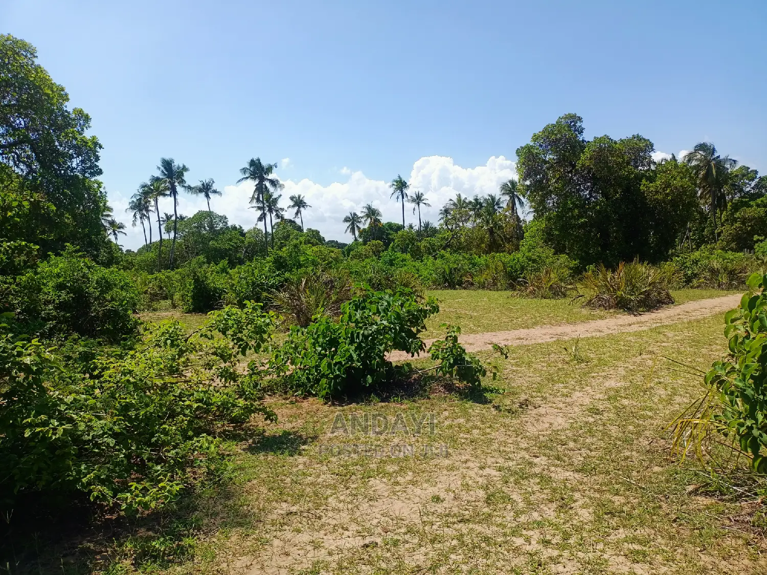 Prime Land for Sale - Kwale-Ng'ombeni