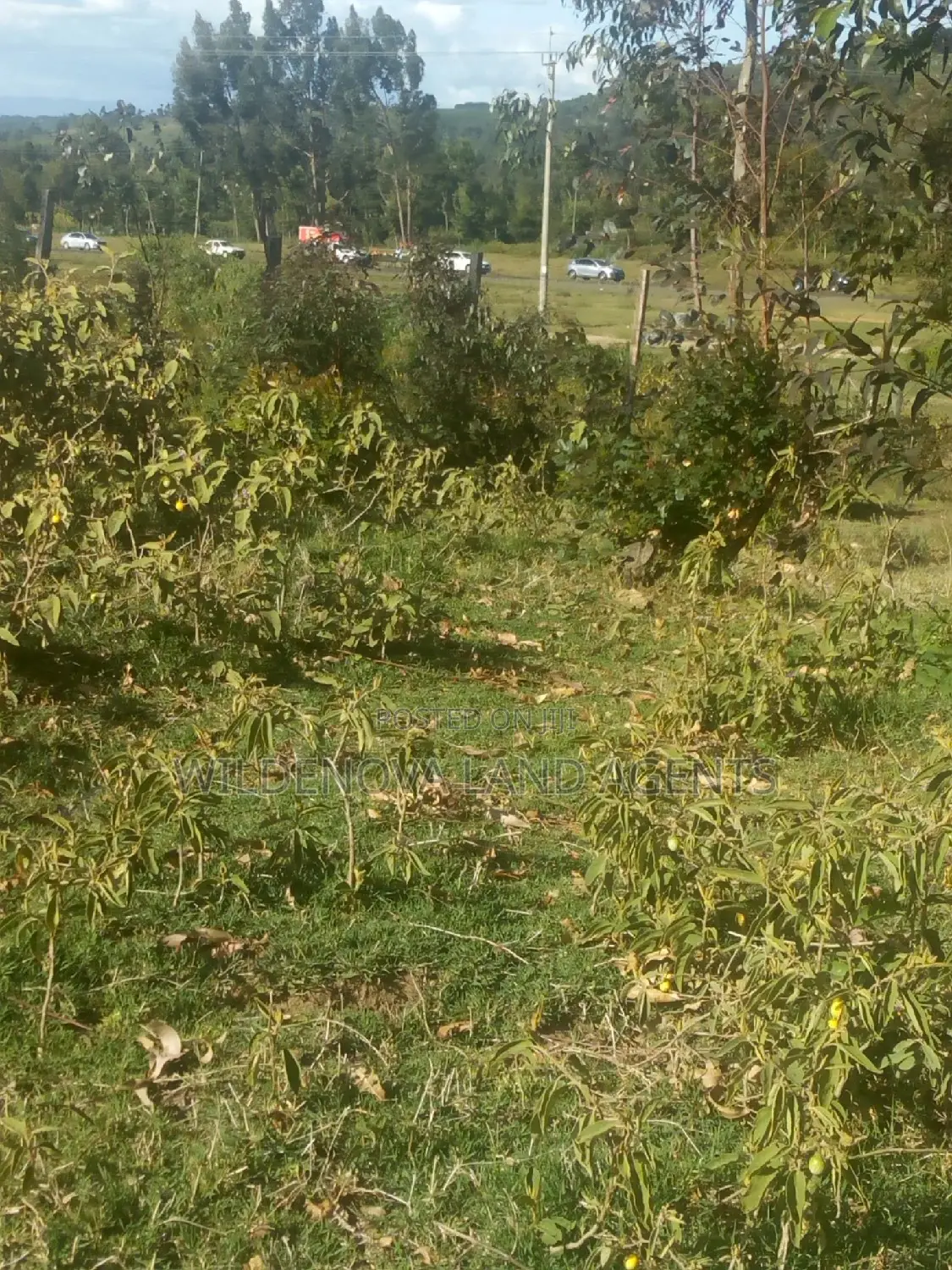 Land on Sale at Kinungi Naivasha Tourching Nairobi Nakuru Rd