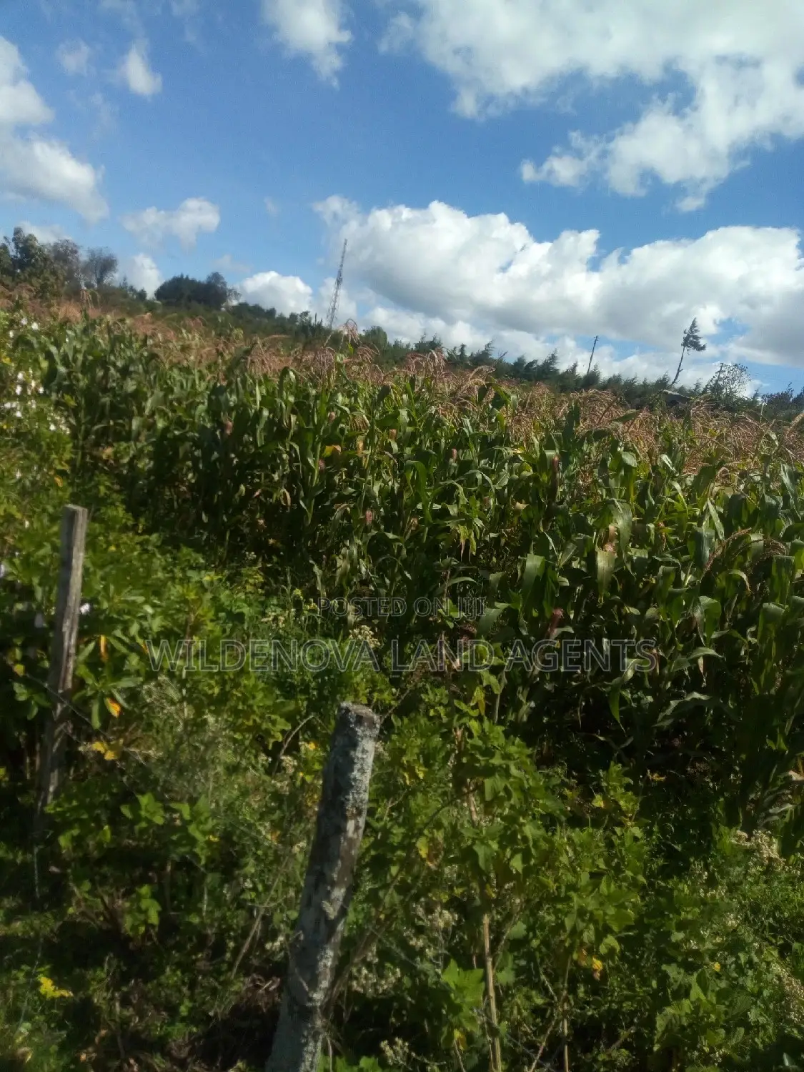 2 Acres on Sale at Flyover Kinangop