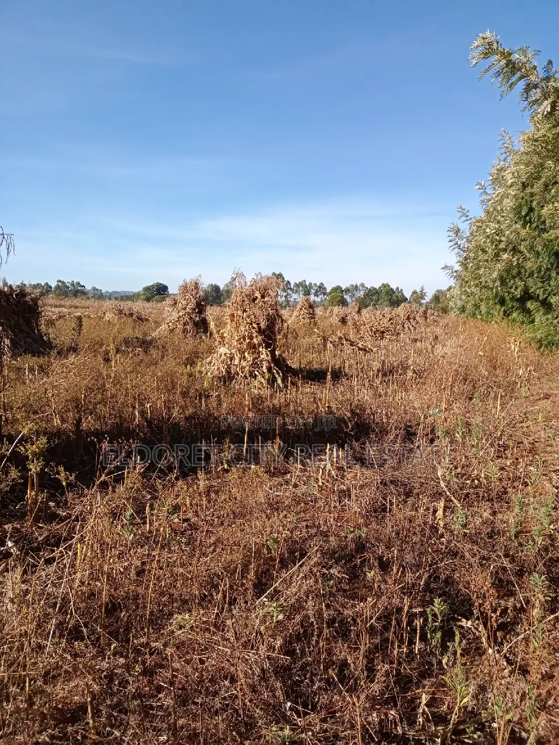 One Acre Marura Ideal for Residential
