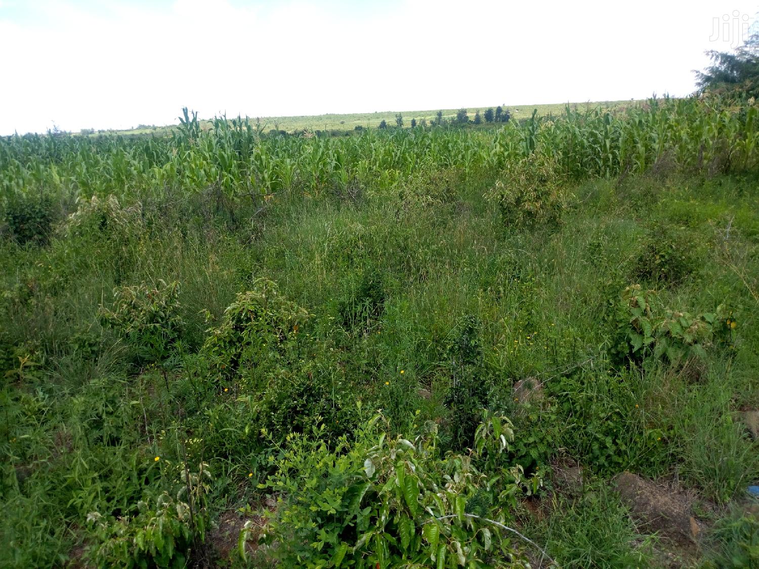 Land in Rumuruti Ndurumo for Sale