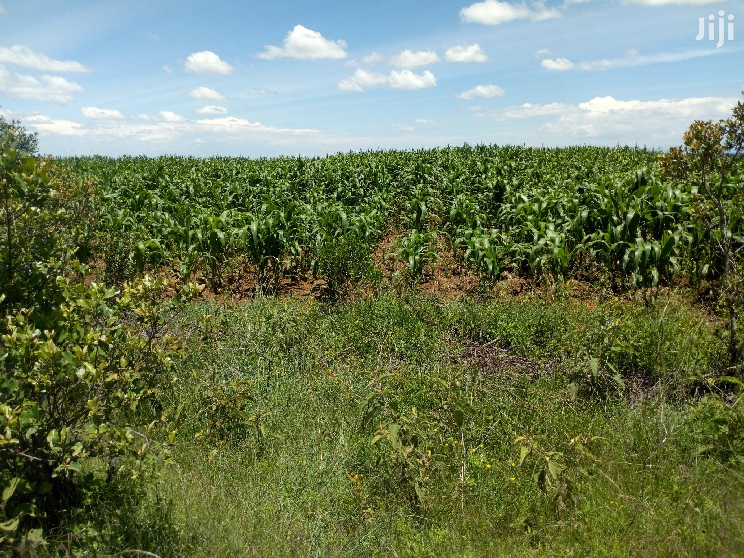 Land in Rumuruti Ndurumo for Sale