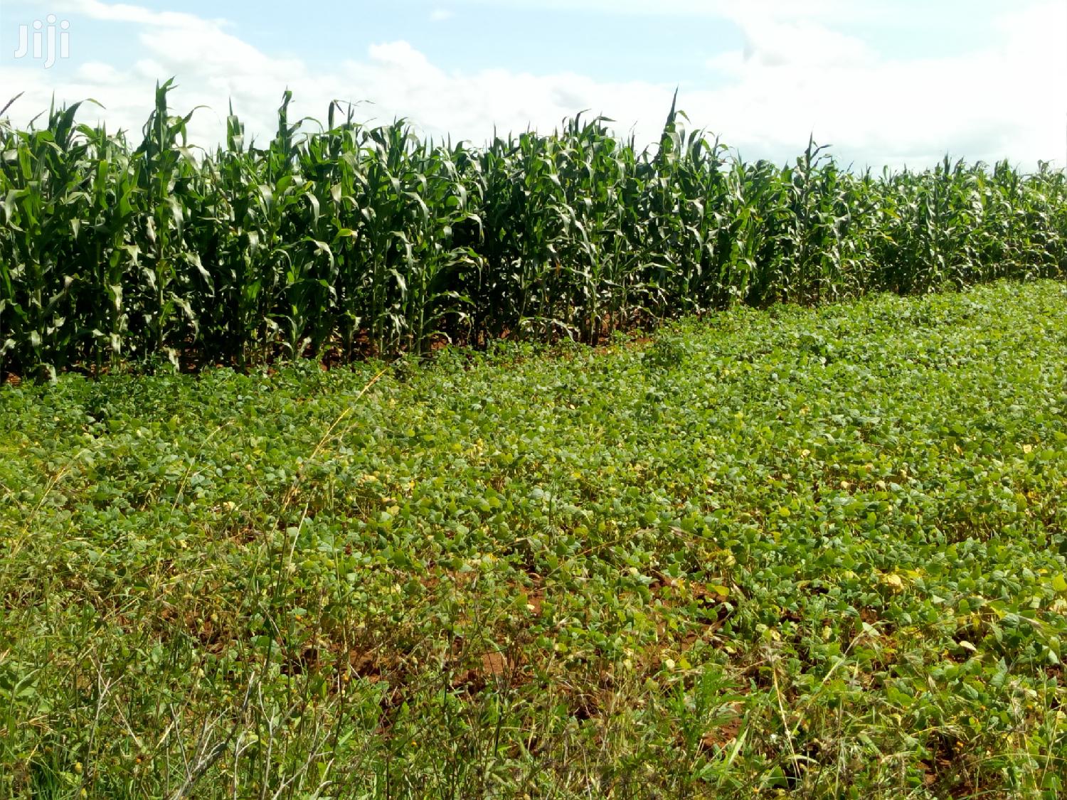 Land in Rumuruti Ndurumo for Sale