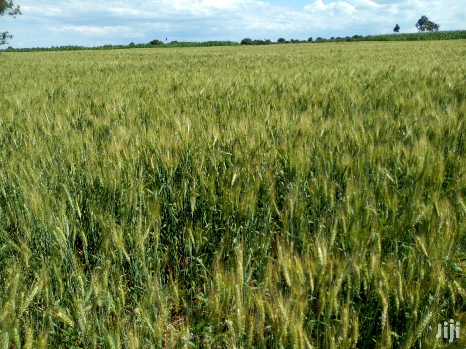 Land in Rumuruti Ndurumo for Sale