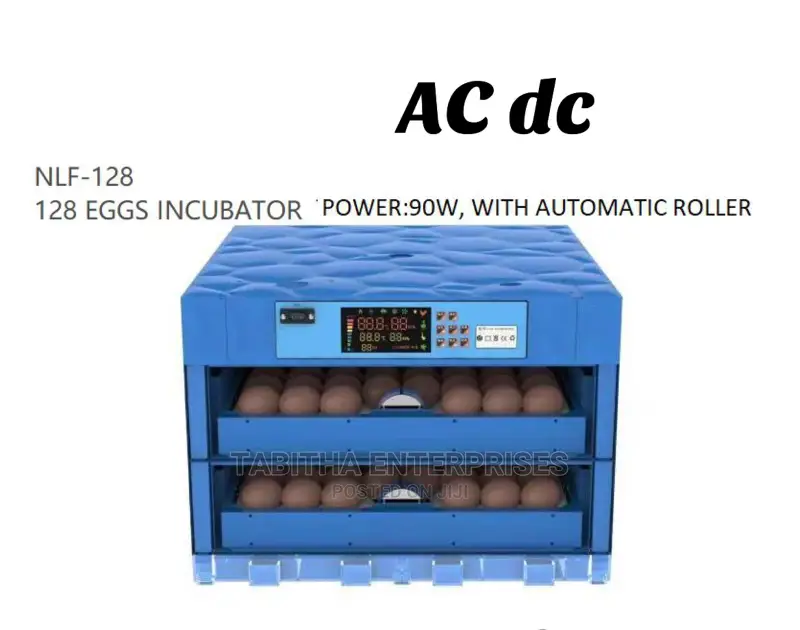 Eggs Incubator