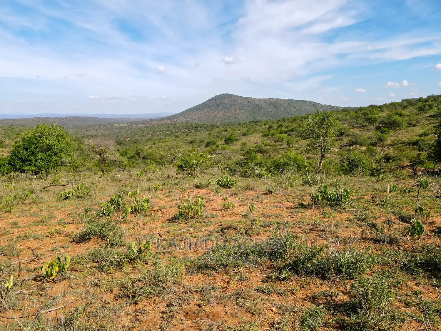 10 Acres Nkorika at 600k Per Acre