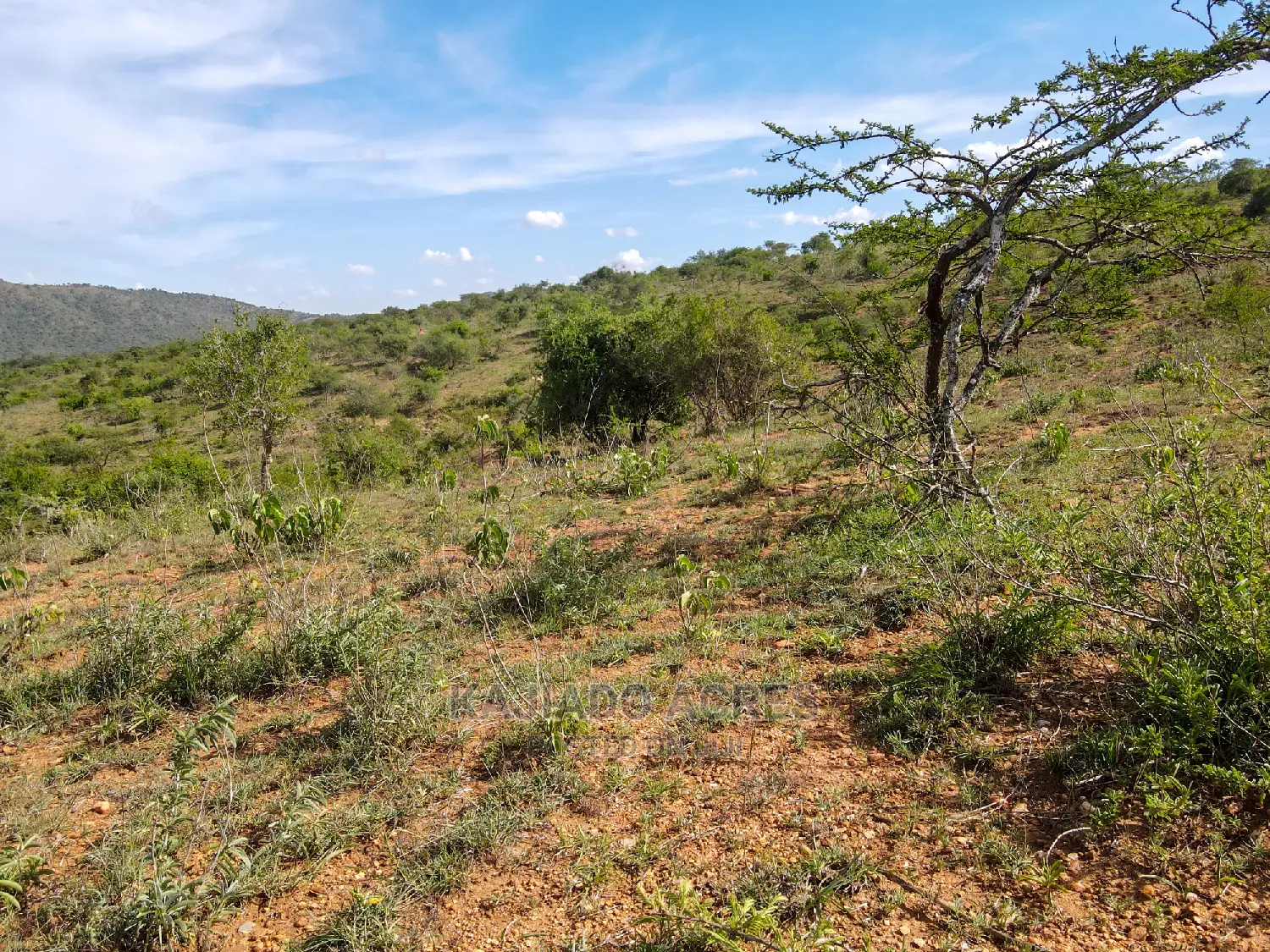 10 Acres Nkorika at 600k Per Acre