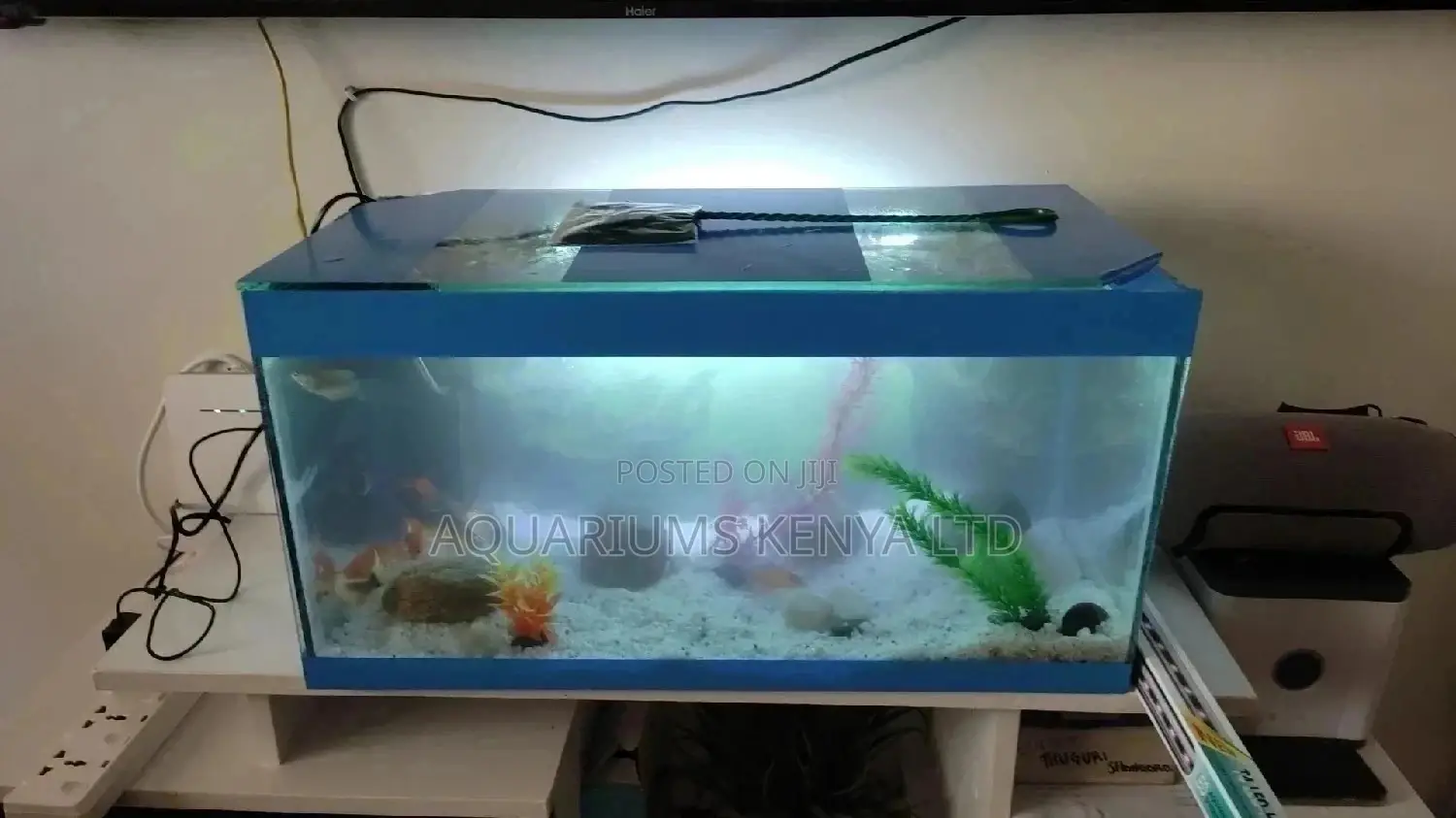 Home Aquarium.