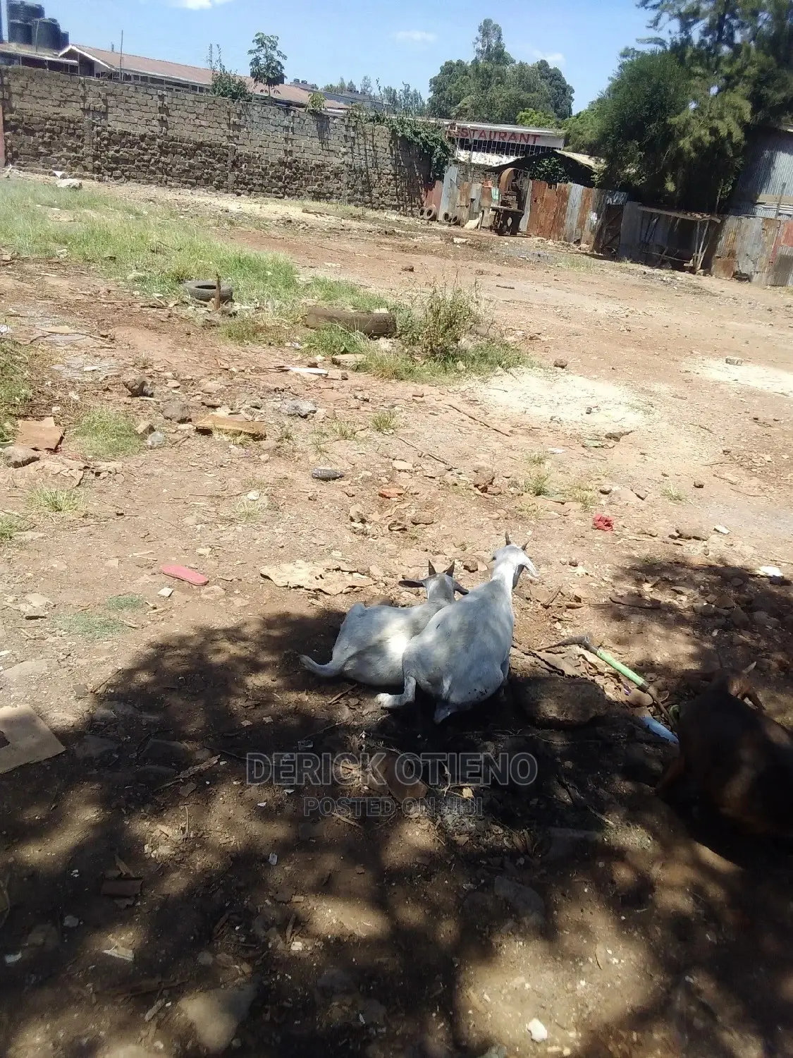 Land for Lease in Riruta