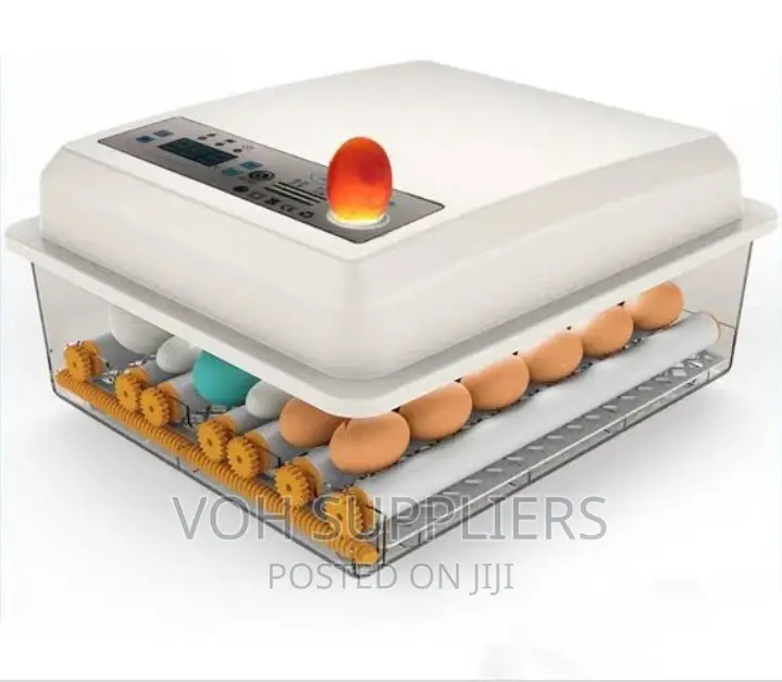 Egg Incubator, 16 Eggs, Dual Power Supply Fully Automatic