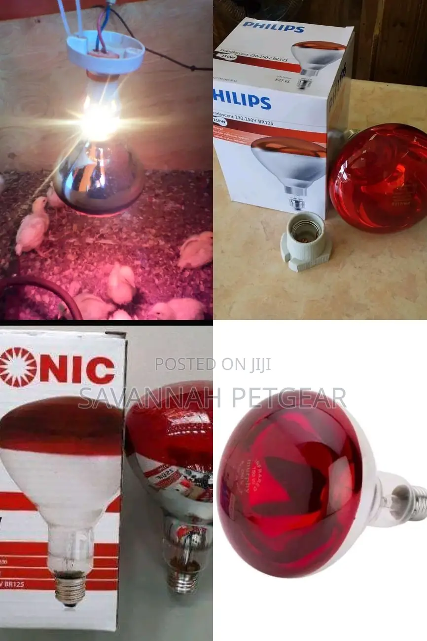 Brooder Lamps for Chicks and Piglets